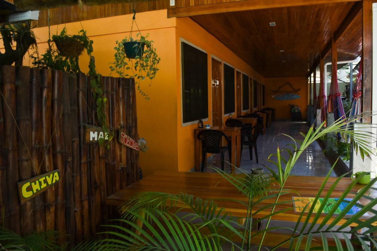 Cocobolo Surf Hotel & School Playa Santa Teresa (Puntarenas) Exterior photo